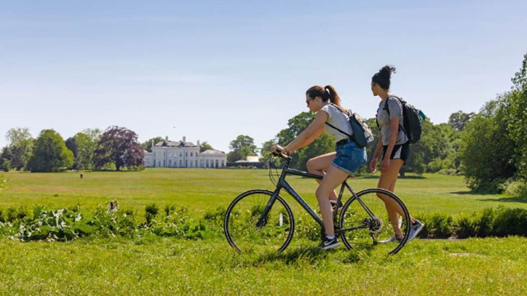 À vélo à travers Chelmsford : de Hylands Park aux sentiers riverains – mon itinéraire parfait